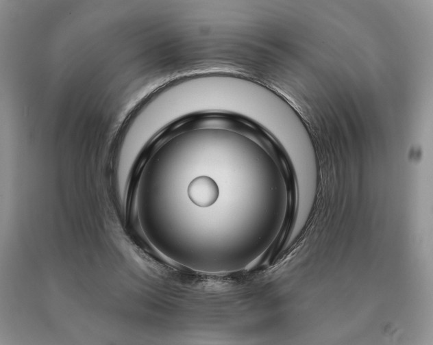 X0000091060350200708061246