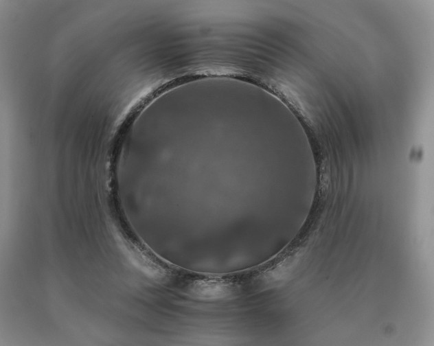 X0000091060351200708061246