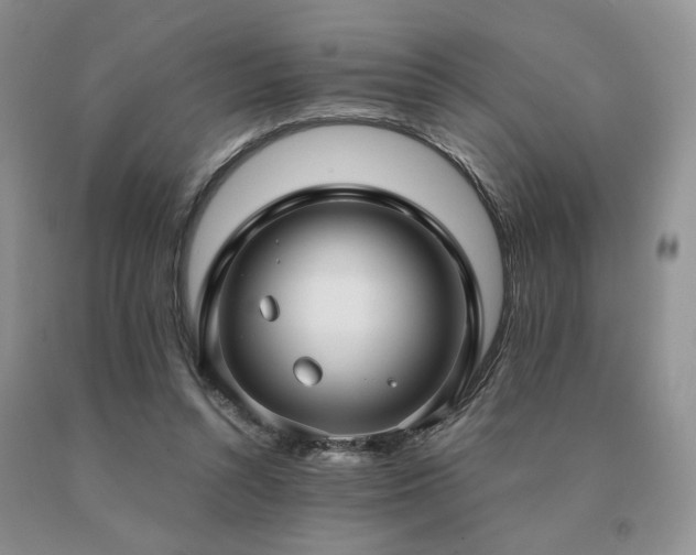 X0000091060352200708061246