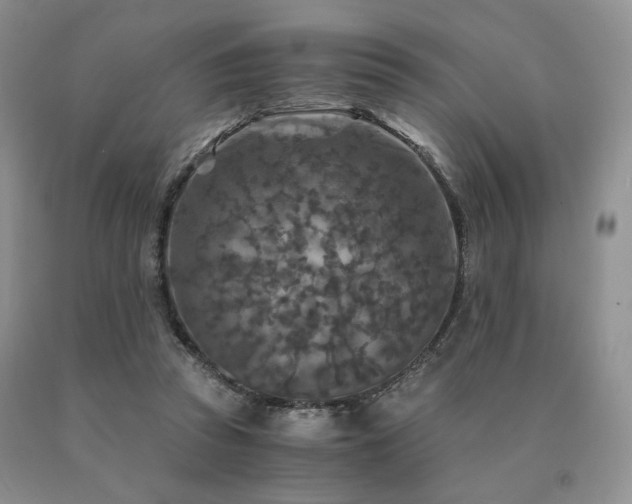 X0000091060353200708061246