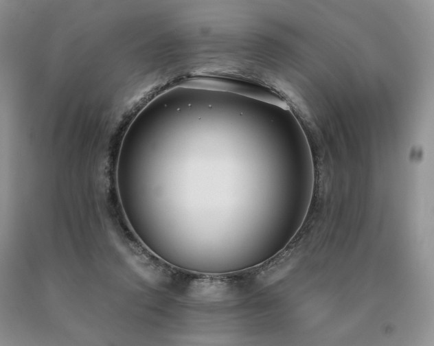 X0000091060354200708061246
