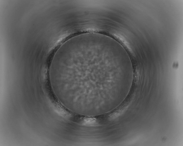 X0000091060355200708061246