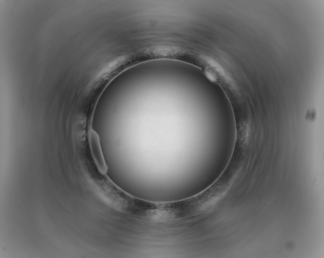 X0000091060356200708061246