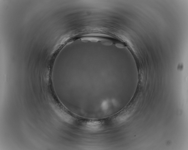 X0000091060357200708061246