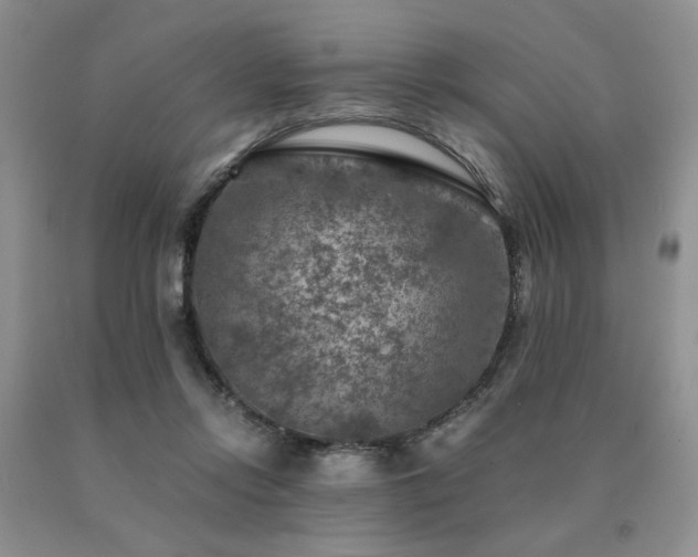 X0000091060358200708061246