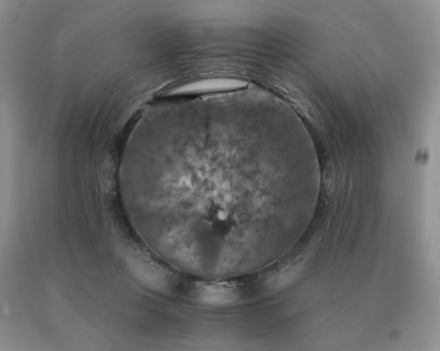 X0000091060359200708061246