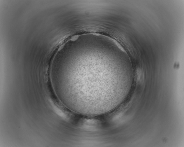 X0000091060360200708061246