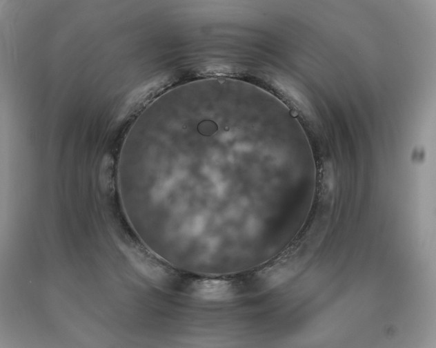 X0000091060361200708061247