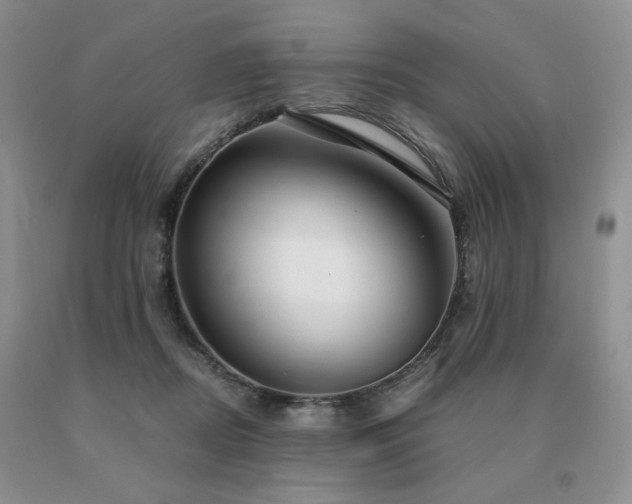 X0000091060362200708061247