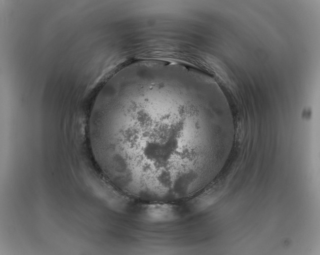 X0000091060363200708061247