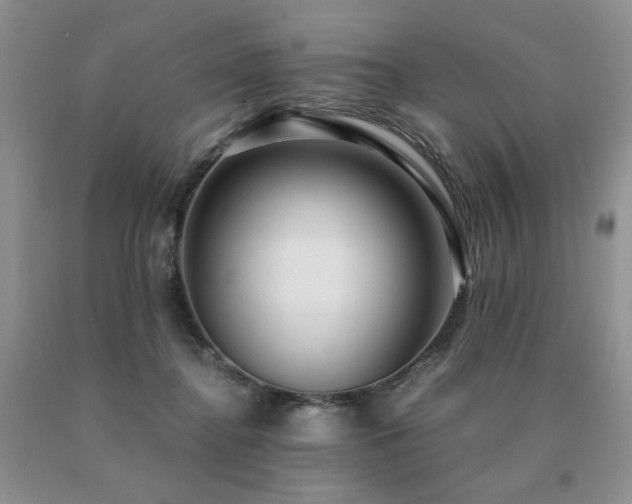 X0000091060364200708061247