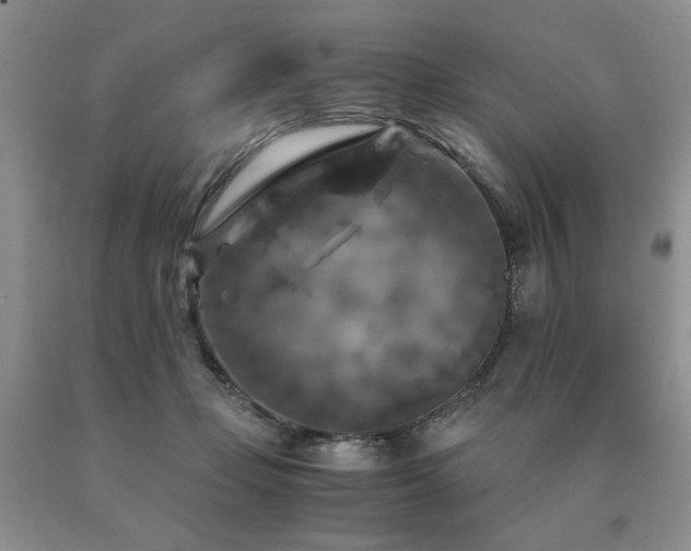 X0000091060365200708061247