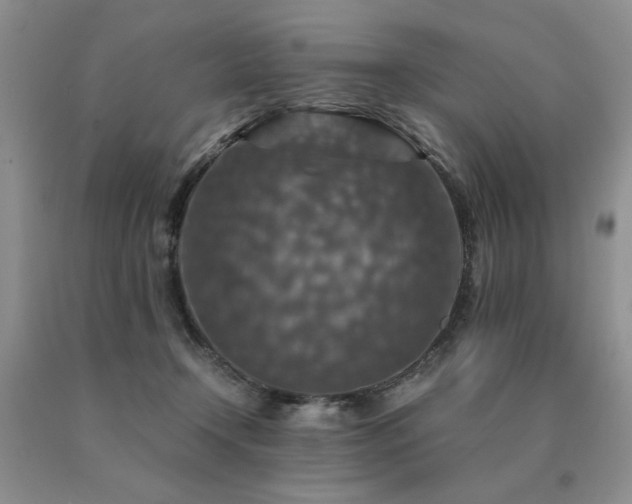 X0000091060366200708061247