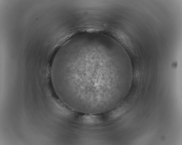 X0000091060367200708061247