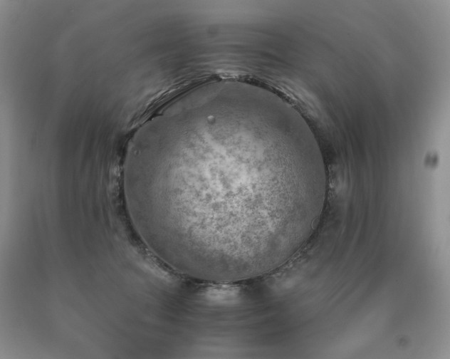 X0000091060369200708061247