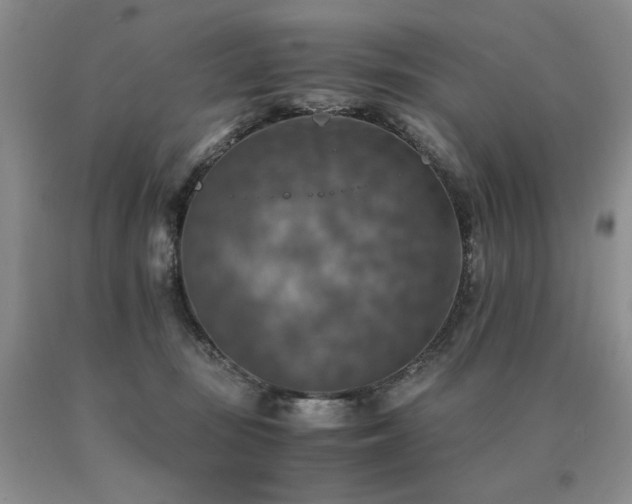 X0000091060371200708061247