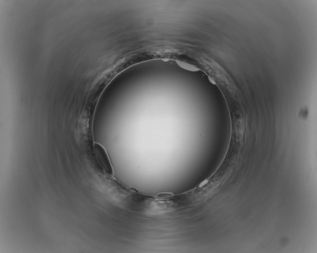 X0000091060372200708061247