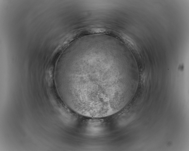 X0000091060373200708061247
