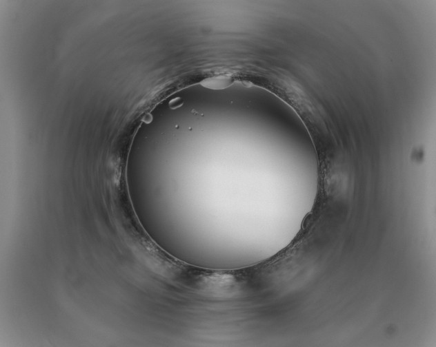 X0000091060374200708061247
