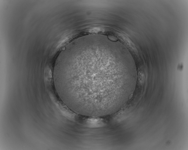 X0000091060375200708061247