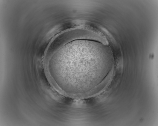 X0000091060376200708061247