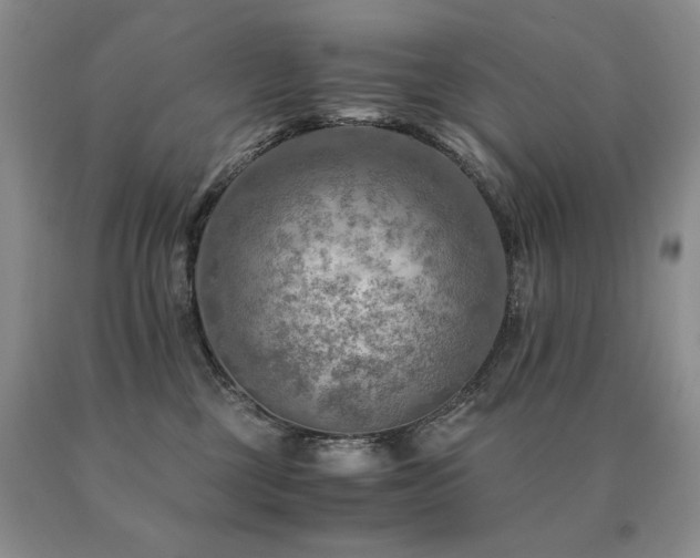 X0000091060377200708061247