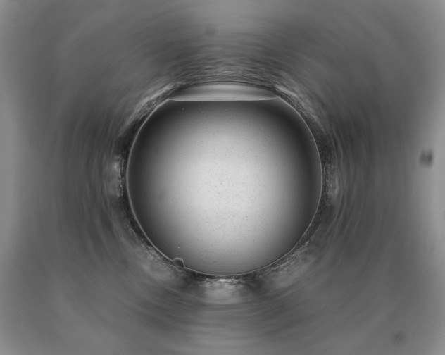 X0000091060378200708061247
