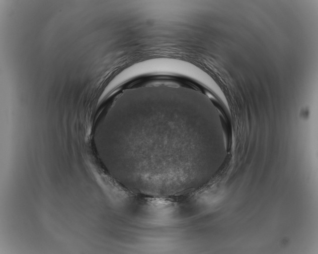 X0000091060380200708061247