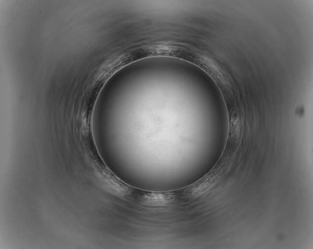 X0000091060381200708061247
