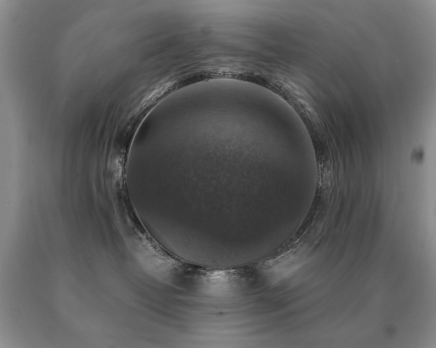 X0000091060382200708061247