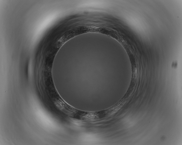 X0000091060383200708061247