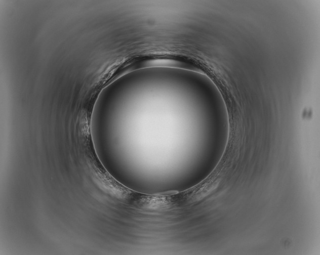 X0000091060384200708061247