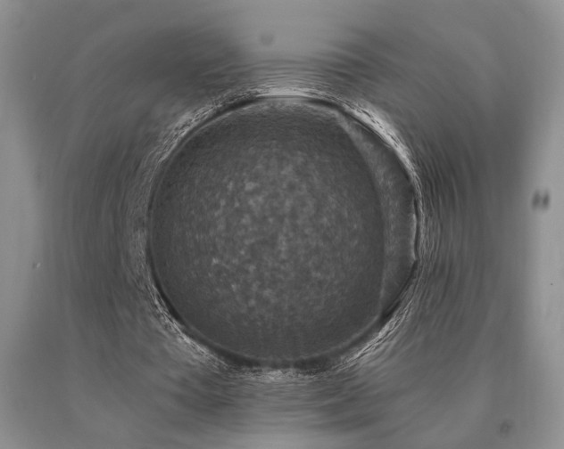 X0000091060385200708061246