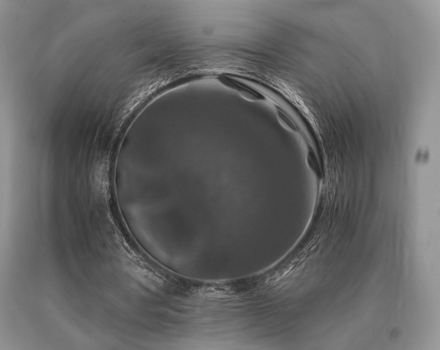 X0000091060386200708061246