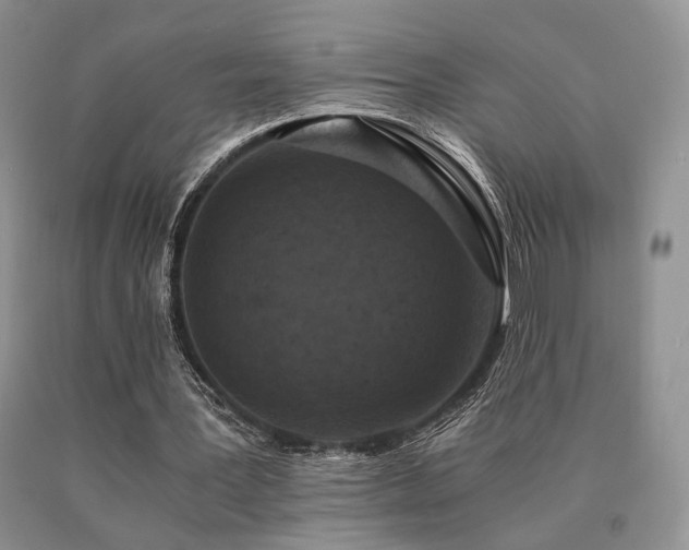 X0000091060387200708061246