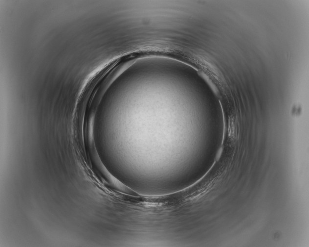 X0000091060388200708061246