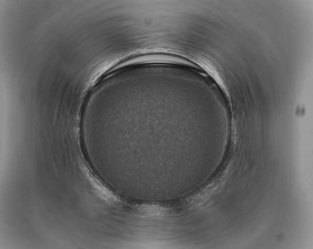X0000091060389200708061246