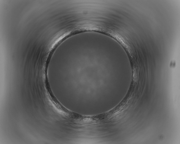 X0000091060390200708061246