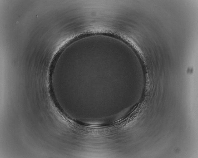 X0000091060391200708061246