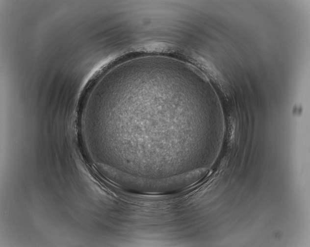 X0000091060392200708061246