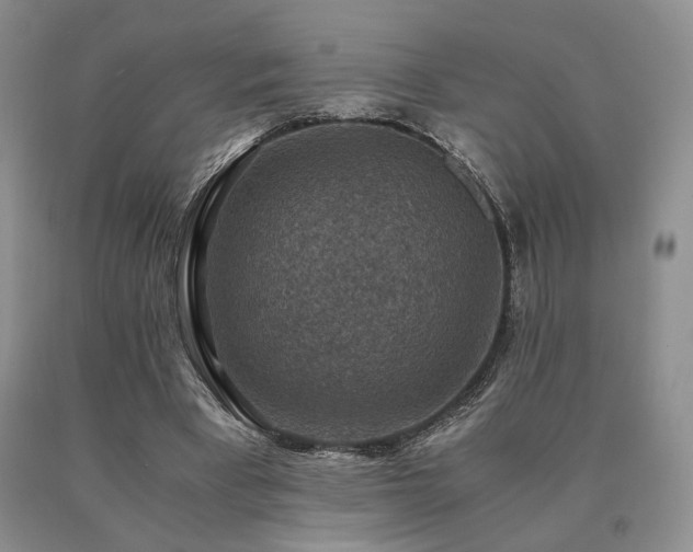 X0000091060393200708061246