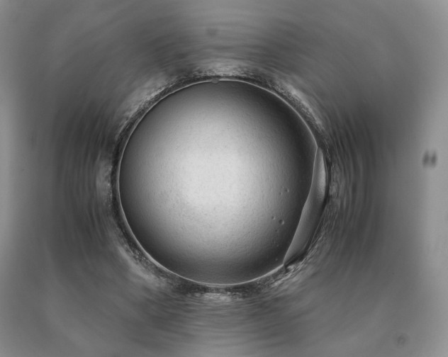 X0000091060394200708061246