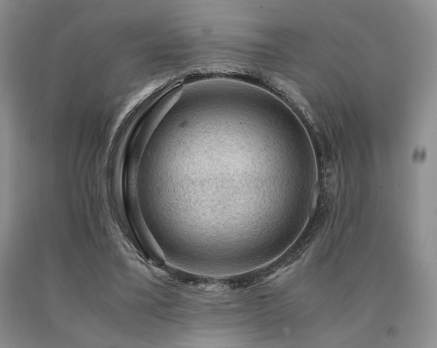 X0000091060395200708061246