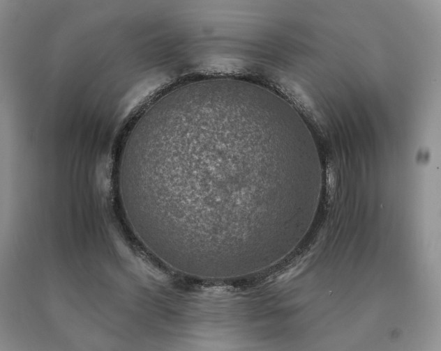 X0000091060396200708061246