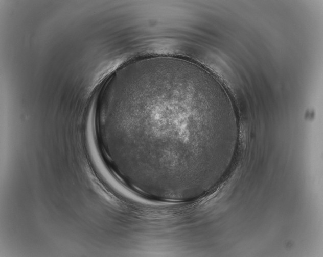 X0000091060397200708061246