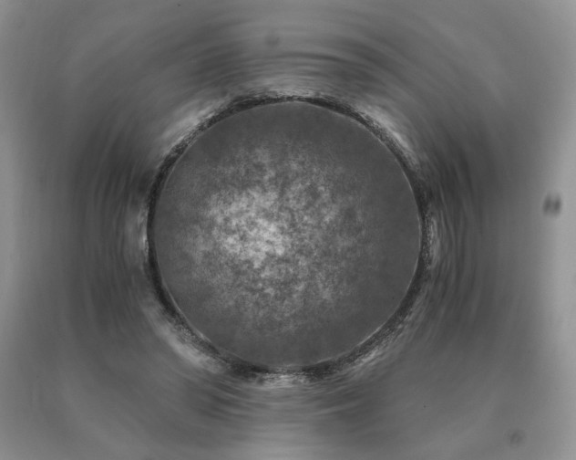 X0000091060398200708061246