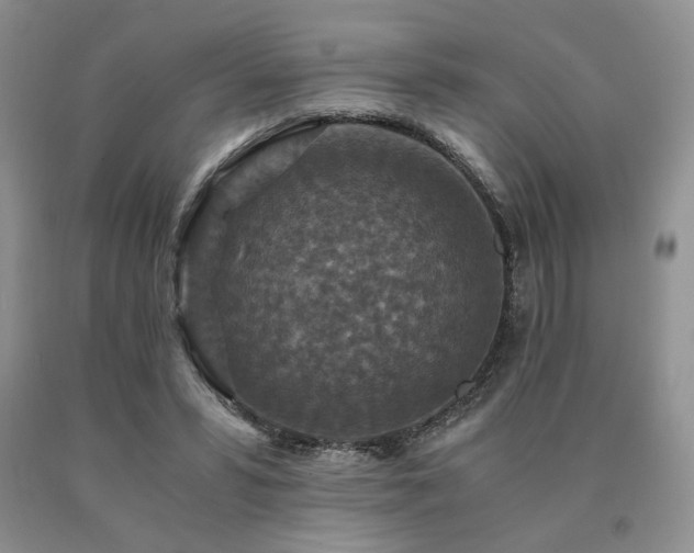 X0000091060399200708061246