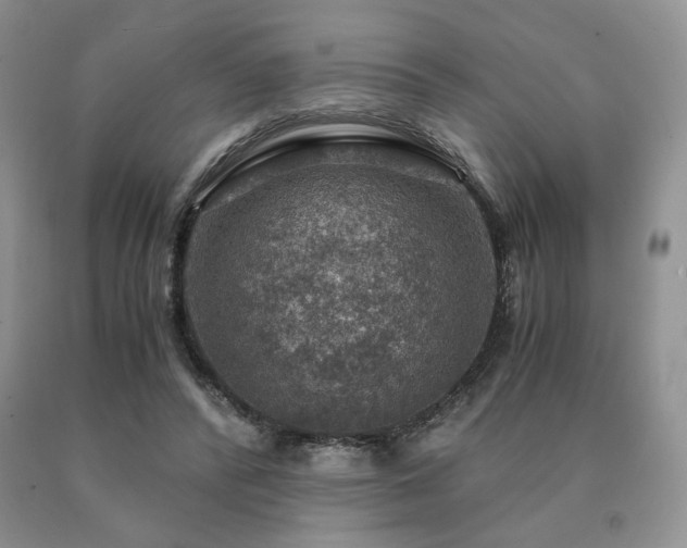 X0000091060400200708061246