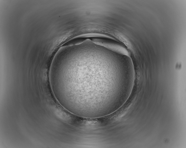 X0000091060401200708061246