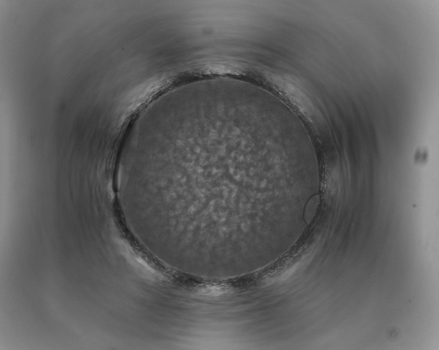 X0000091060402200708061246
